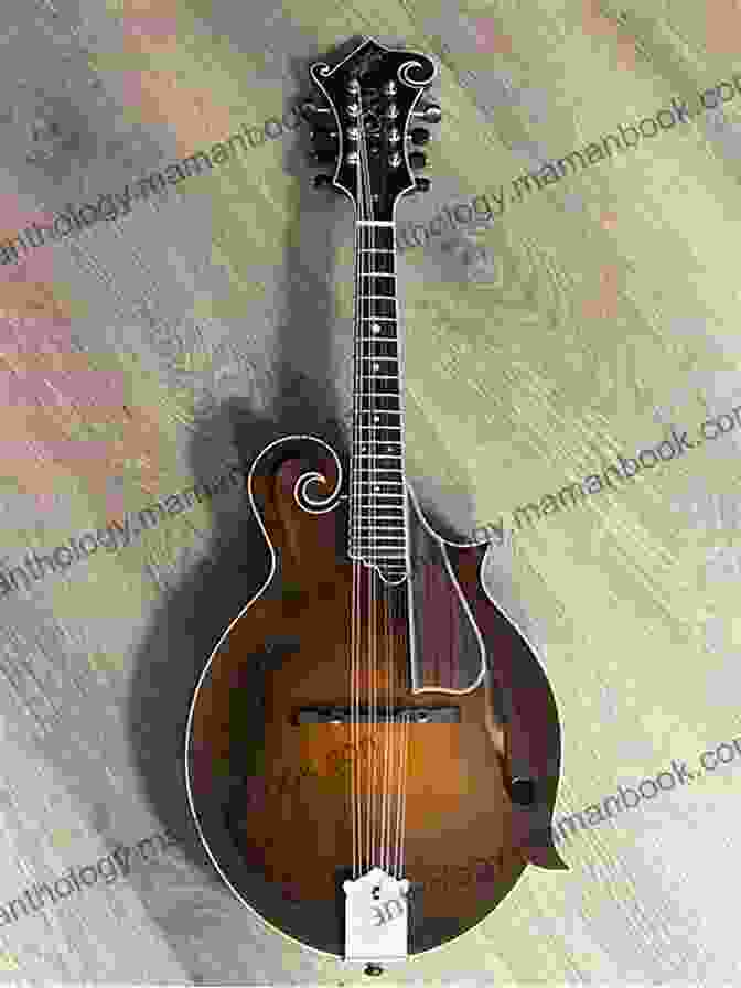 A Close Up Image Of A Mandolin With A Brown Finish And Intricate Inlays. First Lessons Mandolin Dix Bruce