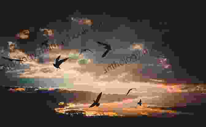 A Flock Of Birds Soaring Through A Vibrant Sky, Representing The Limitless Power Of Imagination Multiversed: Poems Of Dreams And Reality