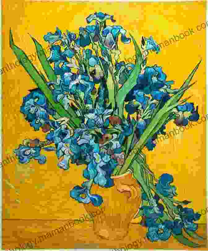 A Sketch Of A Flower By Vincent Van Gogh 60 Amazing Vincent Van Gogh Sketches