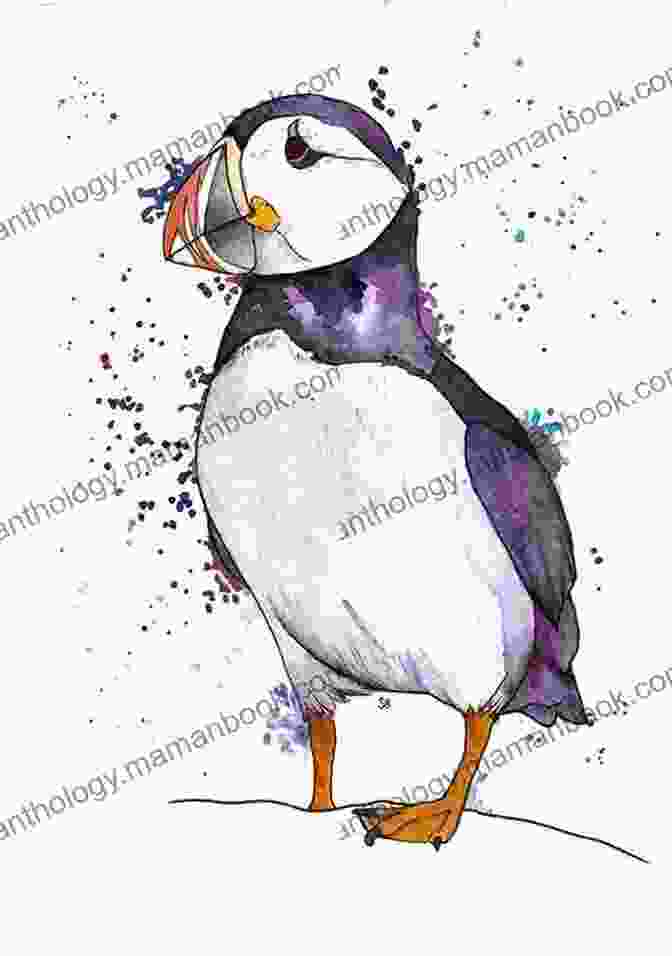 A Whimsical Illustration Depicting A Puffin Adorned With A Jester's Hat, Surrounded By Floating Letters And Symbols, Representing The Playful Nature Of Nonsense Verse. The Puffin Of Nonsense Verse (Puffin Poetry)
