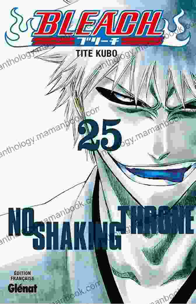 Bleach Vol 25: No Shaking Throne Cover Art Bleach Vol 25: No Shaking Throne