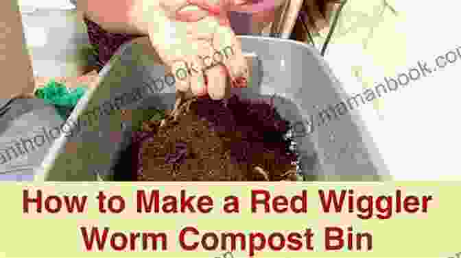 Red Wiggler Worms Used In A Vermicompost Bin. DIY WORM BIN VERMICOMPOST: START YOUR OWN VERMICOMPOST BIN
