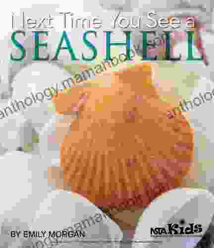 Next Time You See A Seashell